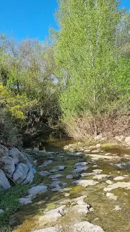 Photo de Le jardin du Coulazou