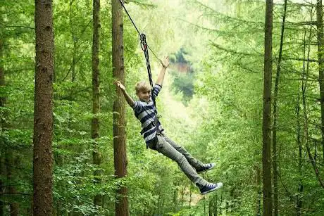 Photo de Go Ape Grizedale