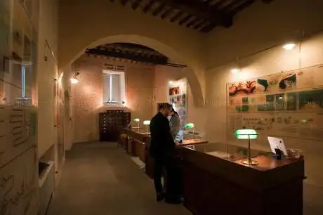 Photo de TrasiMemo Bank of the Trasimeno Memory