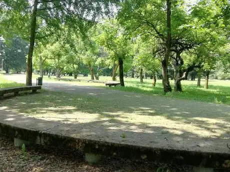 Photo de Parkobaleno