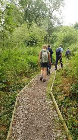 Photo de Dingle Wood