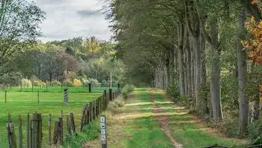 Gasthuisbossenwandelroute