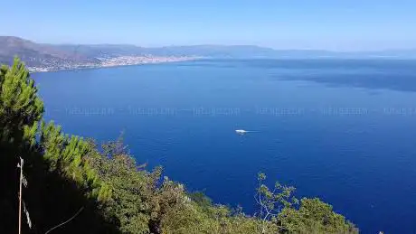Semaforo Nuovo