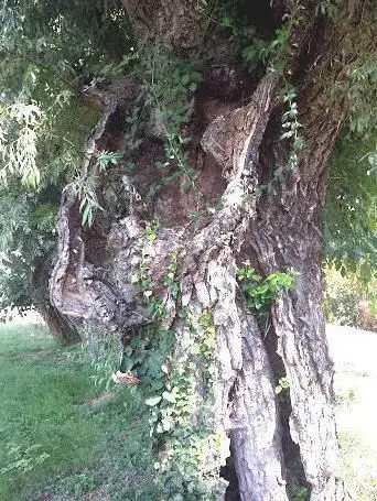 Photo de Parc