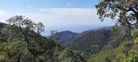 Photo de Sa Creu de Fusta