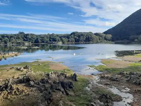 Photo de La Marisma Del Conde