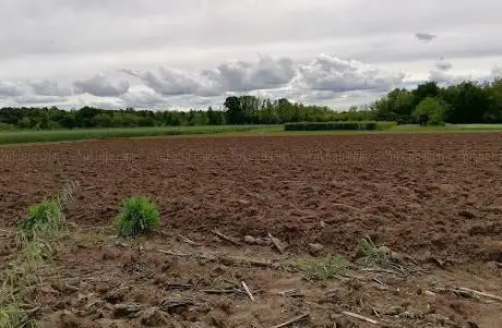 Photo de Campo sportivo comunale di Appiano Gentile