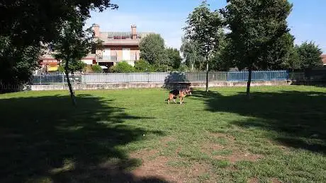 Photo de Area cani