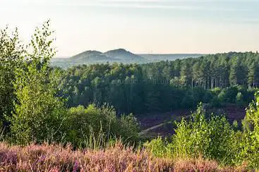 Mechelse Heide
