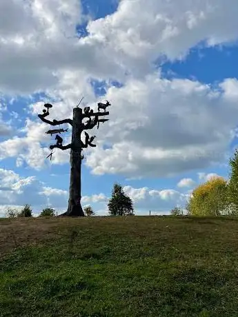 Photo de Levensboom Herbricht