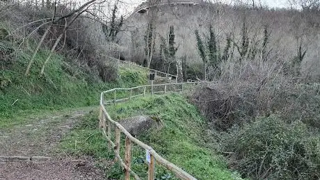 Photo de Sentiero della Cupa