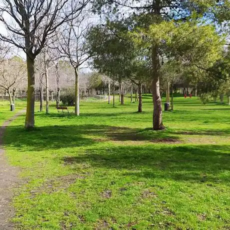 Photo de Canino Park