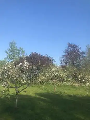 Photo de The Orchard Highfield Park