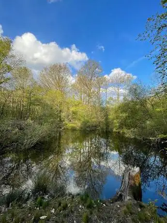 Photo de Etang caché d'Aiseau