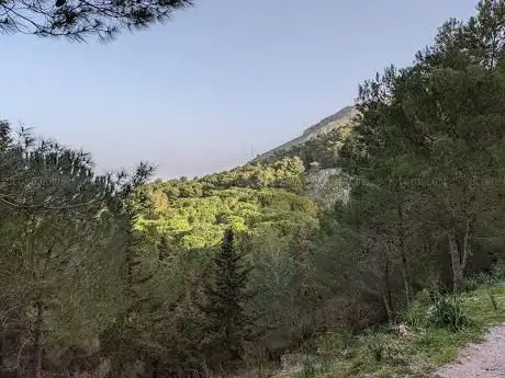 Photo de Ingresso demanio Montagna Longa (Bosco di S. Venera)