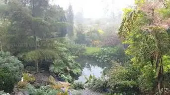Photo de sources Garden