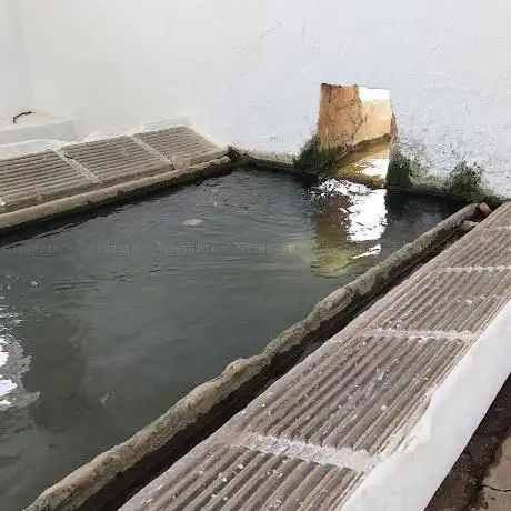 Photo de La Cañada  Alborea