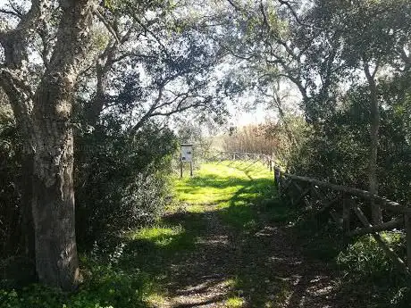 Photo de BOSCO PRETI