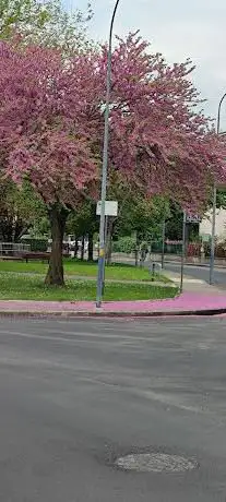 Giardino Fratelli Tremante