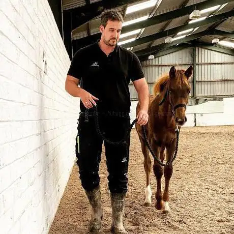 Charleston Dressage