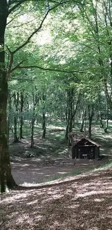 Photo de Località Gigliara