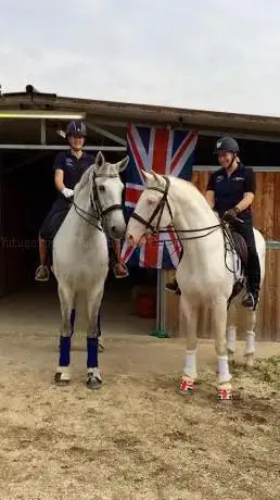 Photo de Pen-Llyn Lusitano Stud And Riding Centre