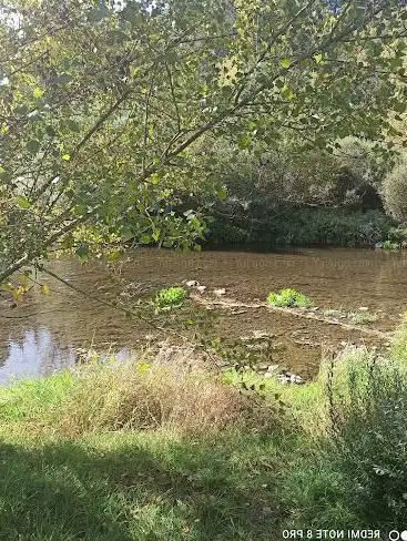 Photo de Île de cheyrac