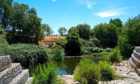 Photo de Paseo Fluvial del RÃo Manzanares