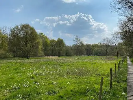 Photo de Haachts Broek