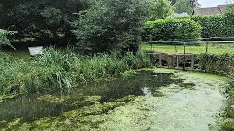 Photo de Horsington Wildlife Pond