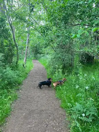Photo de Bloxholm woods