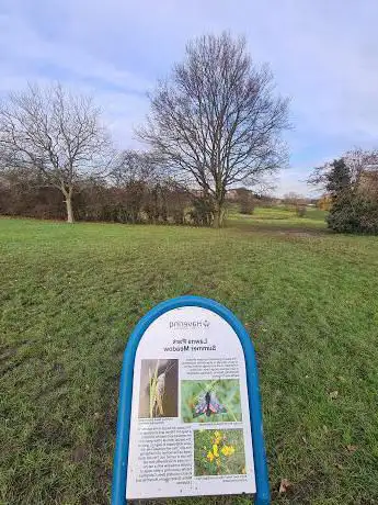 Photo de Lawns Park Summer Meadow