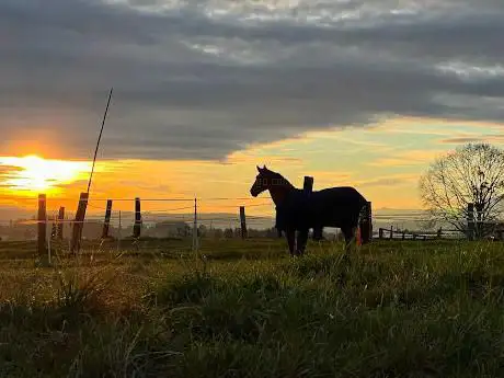 Photo de Reitstall Schmid