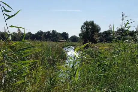Natuurpark wijgmaal