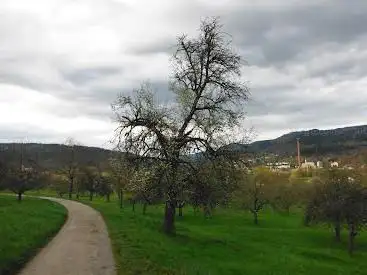 Weinau