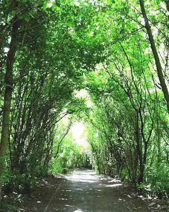 Leiebos