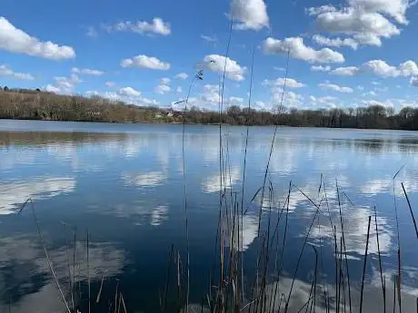 Langerodevijver