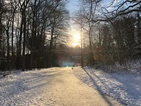 Photo de Pollok Park Trails
