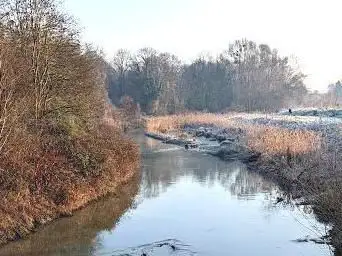 Ponton d'observation