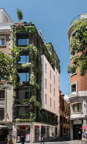 Photo de JardÃn vertical Civitatis