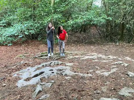 Giant's Footprint