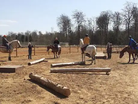Photo de Western Horses Events