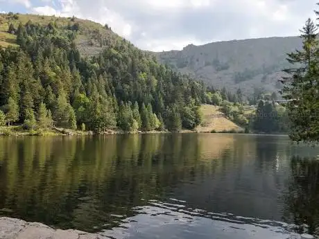 Lac des Truites ou du Forlet