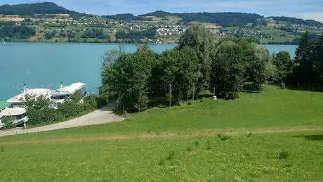 Photo de Seezopf Delphin