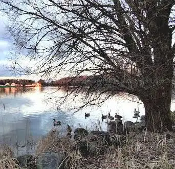Photo de Marais des Flots de Wingles