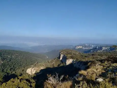 puig pelat