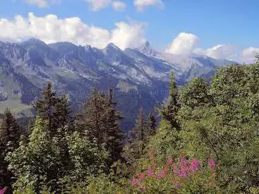 Photo de Tête du Danay