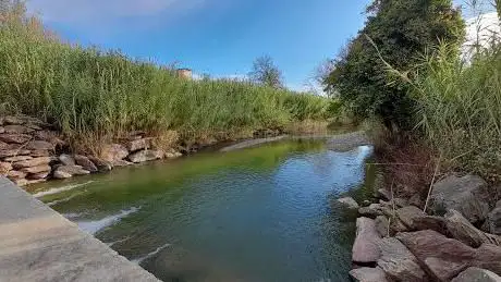 Guado dei caprioli