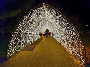 Photo de Christmas at Bedgebury