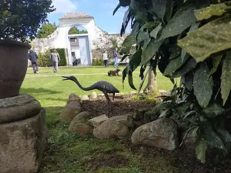 Photo de Menéndez de Luarca Sampil